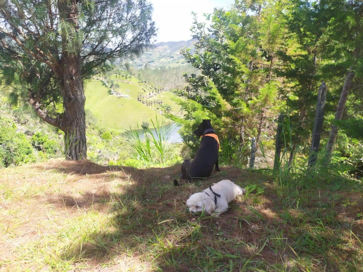 Donde Andres Campestre - Guatape Aparthotel El Penol  Екстериор снимка